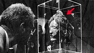 सर काटने की ये कैसी प्रथा ? | The Preserved Heads of Maori Tribespeople | Mokomokai