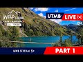 Wildstrubel by UTMB 2024 - English Live 🇬🇧 - Wild 50