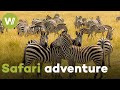 On the trail of Africa's Big Five animals - A safari adventure through the animal kingdom (2013)