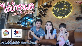 หลงทาง ไปไร่บำรุงผล แม่วาง เชียงใหม่ |แฟมิลี่หนีเที่ยว