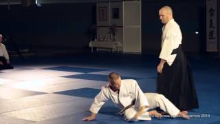 Swedish Aikido Exhibition 2014 at Swedish National Aikido Seminar 2014 in Gothenburg, Sweden.