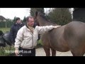 How to fit a saddle to a young developing horse and rider