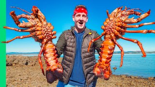 Australia’s GIANT Rock Lobsters!! Hand Caught Tasmanian Seafood!!