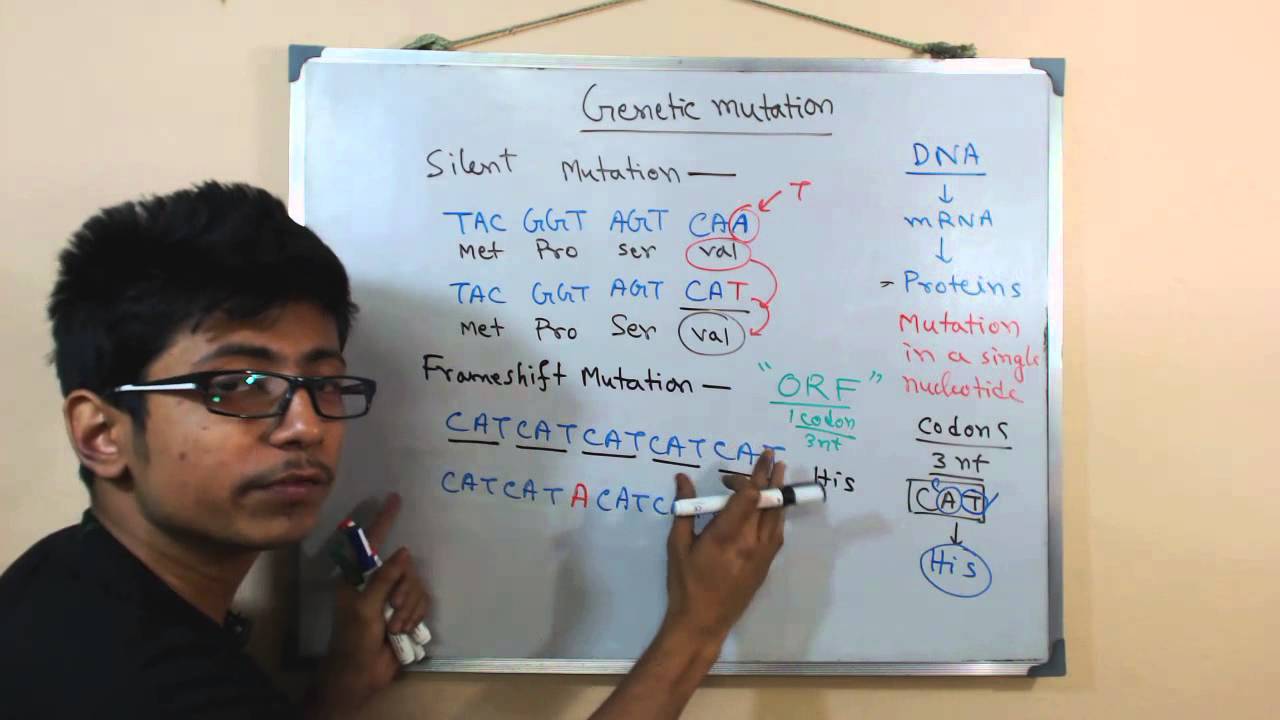 Frameshift Mutation Youtube