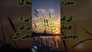 Hazrat Ali r.a Se Pocha Gaya #shorts #Prime quotes #urdu quotes
