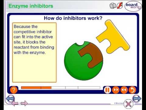 Enzyme inhibitors Enzyme inhibitors