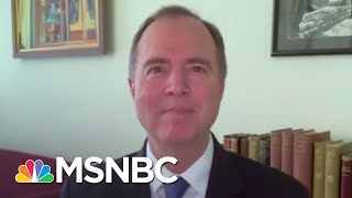 Rep. Schiff: The President 'Surrounds Himself' With 'Grifters' | Andrea Mitchell | MSNBC
