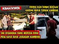 DIHINA TEMAN SEKOLAH! TERNYATA YANG DIHINA PRIA KAYA RAYA TERNAK KAMBING QURBAN INSPIRASI KEHIDUPAN