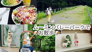 【夏の犬連れお出掛け】ムーミンバレーパーク/北欧インテリアと自然に癒された休日/47歳独身アラフィフ女子と元保護チワワの日常/#アラフィフ #犬と暮らす #一人暮らし #ムーミンバレーパーク