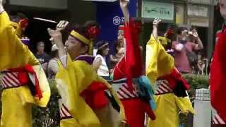 原宿表参道元氣祭スーパーよさこい２０１４／濱長　花神楽