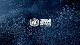 Announcing UN World Oceans Day 2025: Wonder