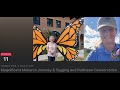 RGVCTMN April Meeting:  Magnificent Monarch Journey & Tagging and Pollinator Conservation