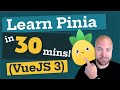 Learn Pinia in 30 MINUTES! (Vue JS 3)
