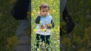 Guliyo jeri hau #toribari #song #cutebaby #nepalisong