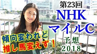 【競馬】ＮＨＫマイルカップ 2018予想（カツジには厳しいデータ…） ヨーコヨソー