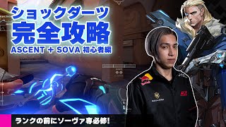 【解説】Valorant完全攻略 ショックダーツ ASCENT + SOVA 初心者編