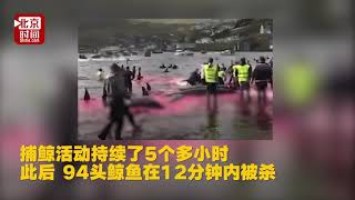 12分鐘屠殺94頭鯨魚 8秒殺一頭連懷孕母鯨也不放過