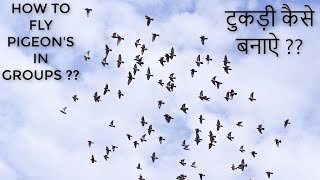 KABOOTAR KI TUKDI KAISE BANAY ?? HOW TO FLY PIGEON'S IN GROUPS ??