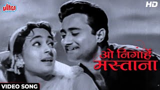 O Nigahe Mastana [HD] Kishore Kumar & Asha Bhosle Duet Song : Dev Anand, Nutan | Paying Guest (1957)
