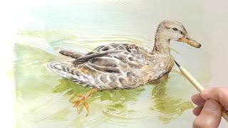 [水彩画]水に浮かぶ鳥をガッシュで描く/鳥/watercolor /gouache