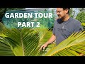 Backyard Garden Tour // Food Forest Part 2