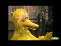 sesame street snuffy is not an elephant