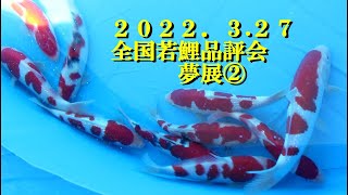 2022 3 27全国若鯉品評会　夢展②