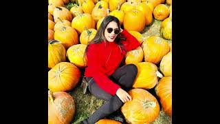 🔥Canada-ல இவ்ளோ பெரிய பெரிய ⁉️🎃#pumpkin#pumpkinfest#shorts #tamilshorts#tamilvlog#trending