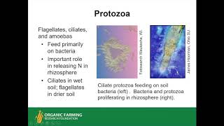 Understanding and Managing Soil Biology for Soil Health and Crop Production