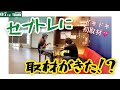 【セブログ#6】セブトレに取材がきた！？