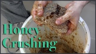 Spring Honey Harvest Crush and Strain in action