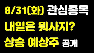 [주식] 8월 31일(화) 관심종목 내일은 뭐사지? 상승 예상주 공개!!