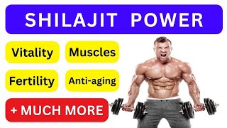 How Shilajit Can Help Improve Your Health (Doctors Never Say These 21 Health Benefits of Shilajit)