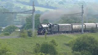 7029 'Clun Castle' Hammering up Dauntsey Bank, 11.05.24