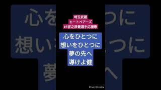 埼玉武蔵ヒートベアーズ宮之原健選手応援歌リコーダーで吹いてみた #埼玉武蔵ヒートベアーズ #応援歌 #リコーダー #宮之原健 #ハモり