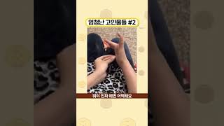 엄청난 고인물들 #2