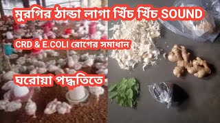 মুরগির ঠান্ডা লাগা খিঁচ খিঁচ আওয়াজ e. coli রোগের চিকিৎসা: poultry farm business