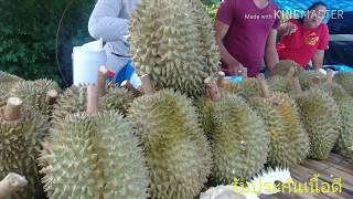 Durian fruit‼️สำรวจราคาทุเรียน.ร้านริมทาง(จะถูกหรือจะแพง).31-5-20/.249