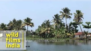 Backwaters and Kerala houseboats