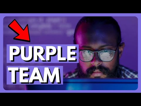 Cybersecurity and the Purple Team!