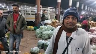 Rajkot Market Yard 19//01//2025 Green Vegetables Holsel Bhav #food #rajkot