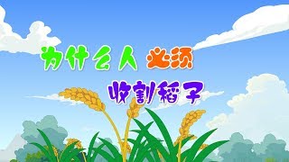 【泰国童话】9 为什么人必须收割稻子 丨Tailand fairy story 【三淼儿童官方频道】 HD