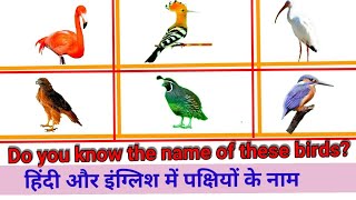 Birds Name in English and Hindi | pakshiyon ke naam Hindi aur English me | 30 Birds Name