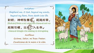 神啊牧養我 ELW 780 Shepherd me, O God / Guíame, Señor - Chinese tr. Evangeline Dai 中譯：戴佑真 Mandarin pinyin