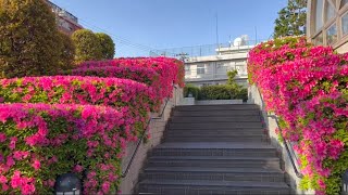 Tokyo Walk 4K – 田端から巣鴨駅まで線路沿いを散歩  Walk along the railway line Tabata to Sugamo station