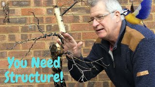 I Styled My FIRST Yamadori Silver Birch and Here's What Happened