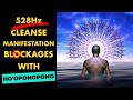 Heal PAST BLOCKAGES To MANIFEST What You Want | Ho'oponopono Guided Meditation | 528Hz