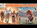 hayop NAKI-EPAL sa SPORTING EVENTS!! Funny Animals interrupting Games