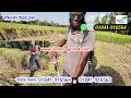 automatic ধান কাটা মেশিন কম দামে ধান কাটার মেশিন agriculture_bangladesh