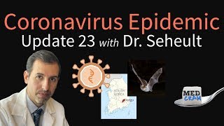 Coronavirus Epidemic Update 23: Infections in Kids & Pregnancy, South Korea, Spillover From Bats